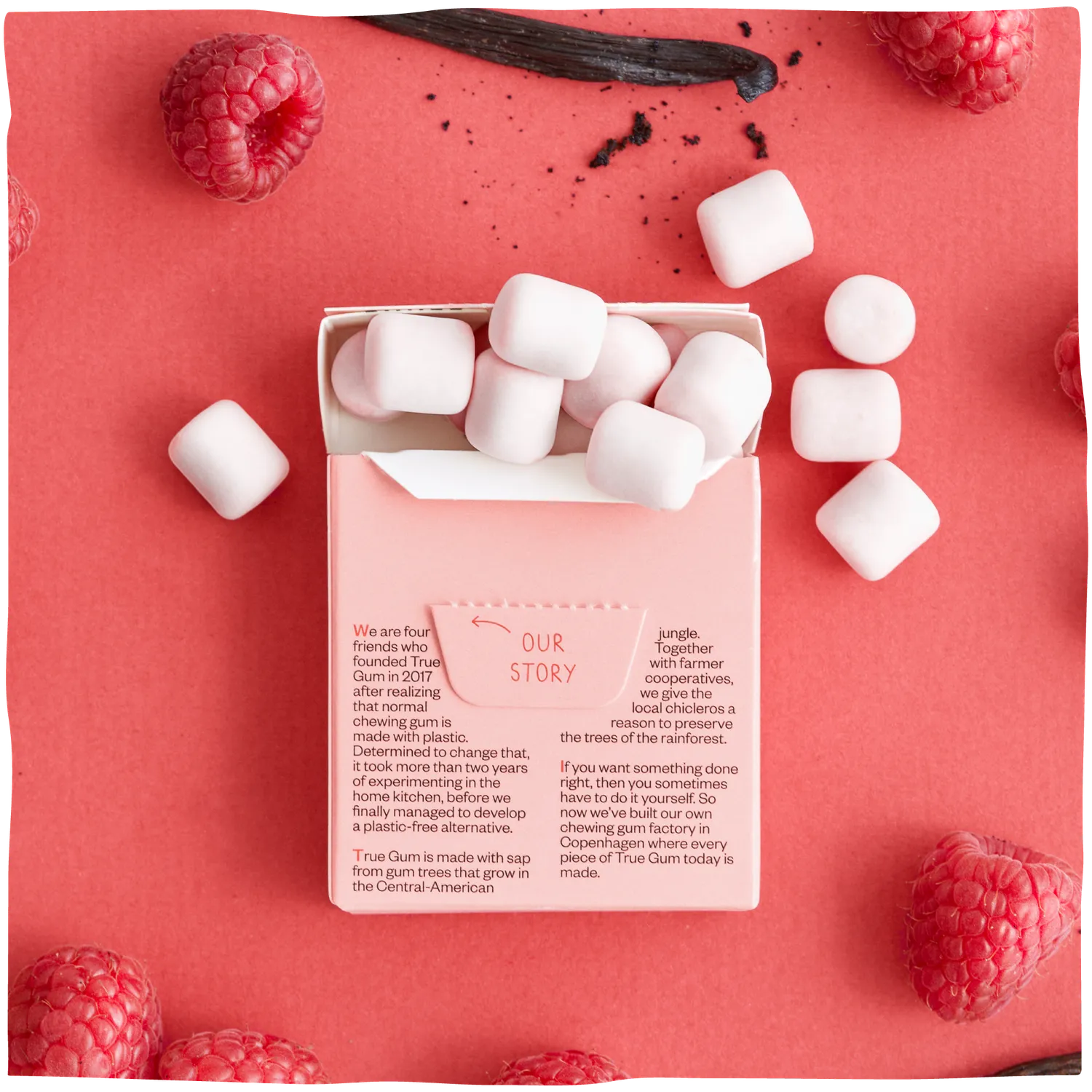 True Dates Raspberry Vanilla tyggegummi 24-pak sukkerfri
