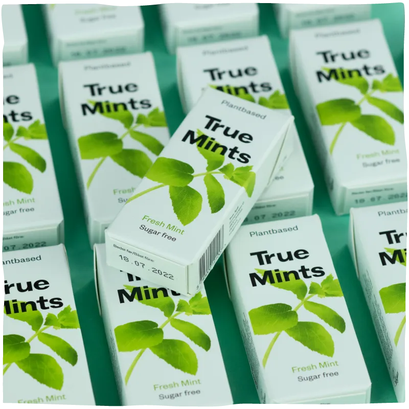 True Dates Fresh Mint pastiller mint 18-pak sukkerfri