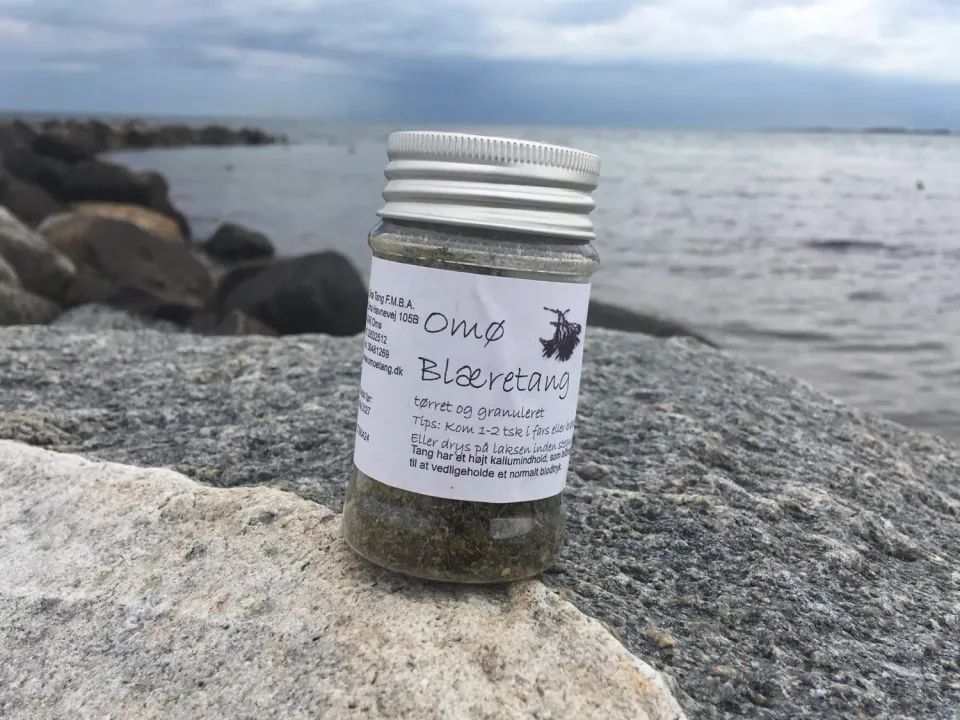 Omø Tang blæretang knust glas 50g tørret