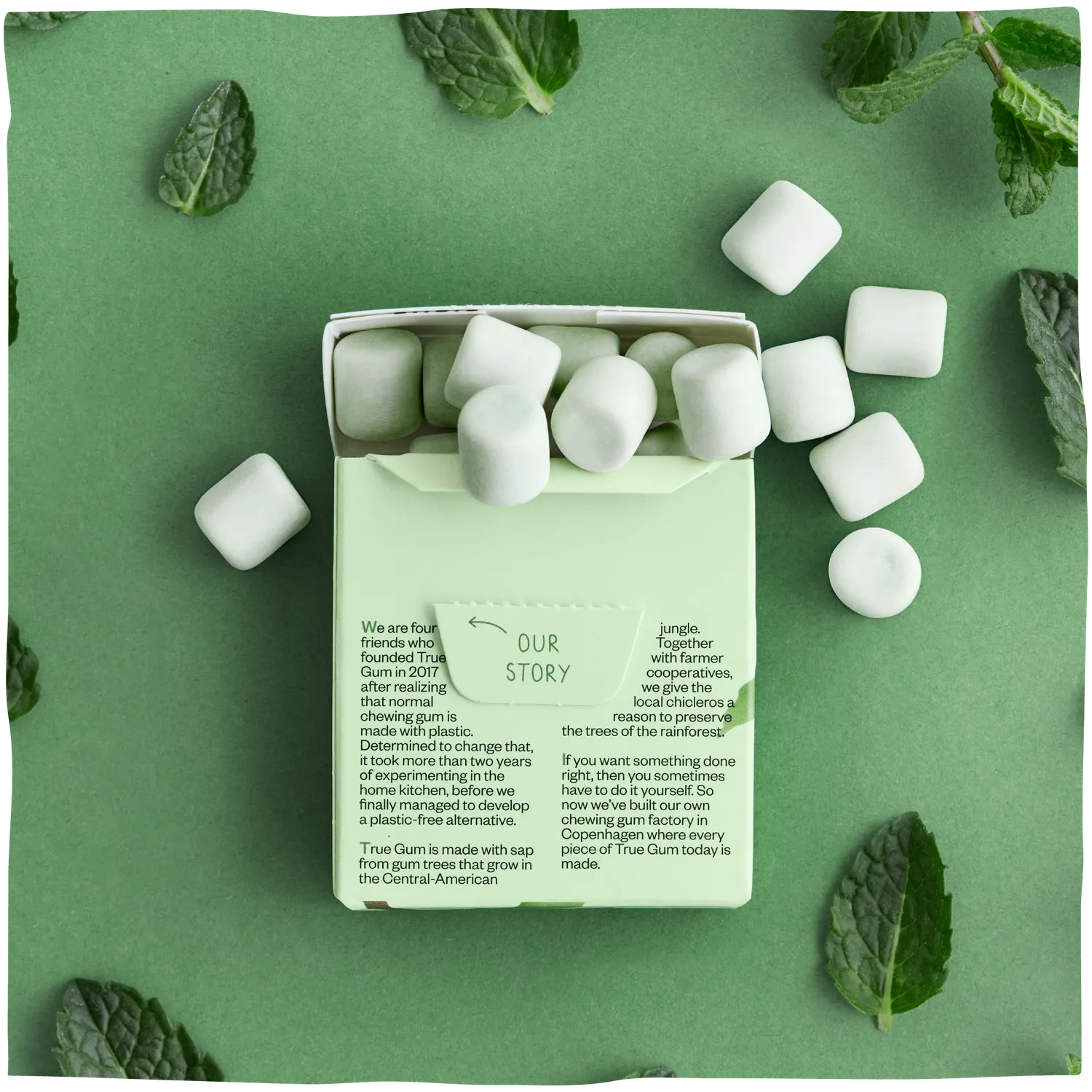 True Dates Mint Gum tyggegummi mint 24-pak sukkerfri