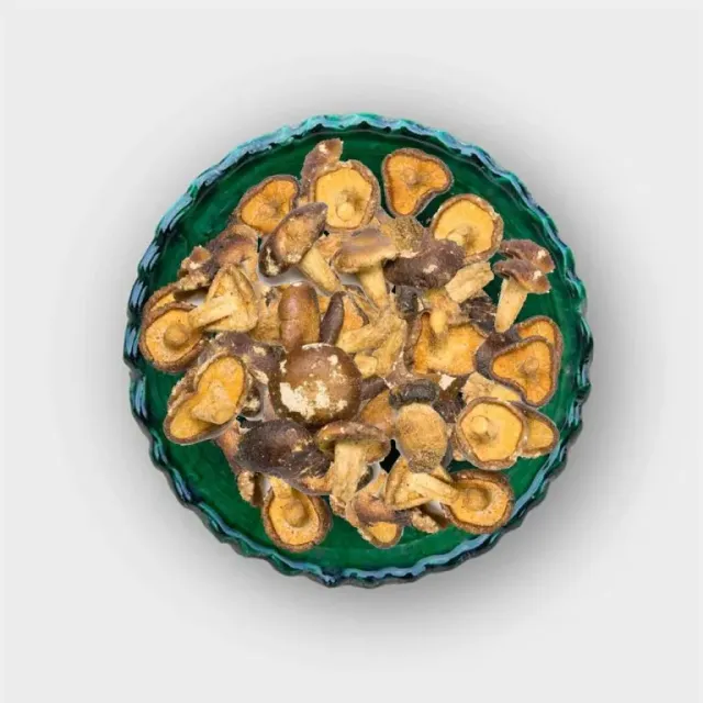 Frugtslik Shiitake svampe tørret smagsprøve