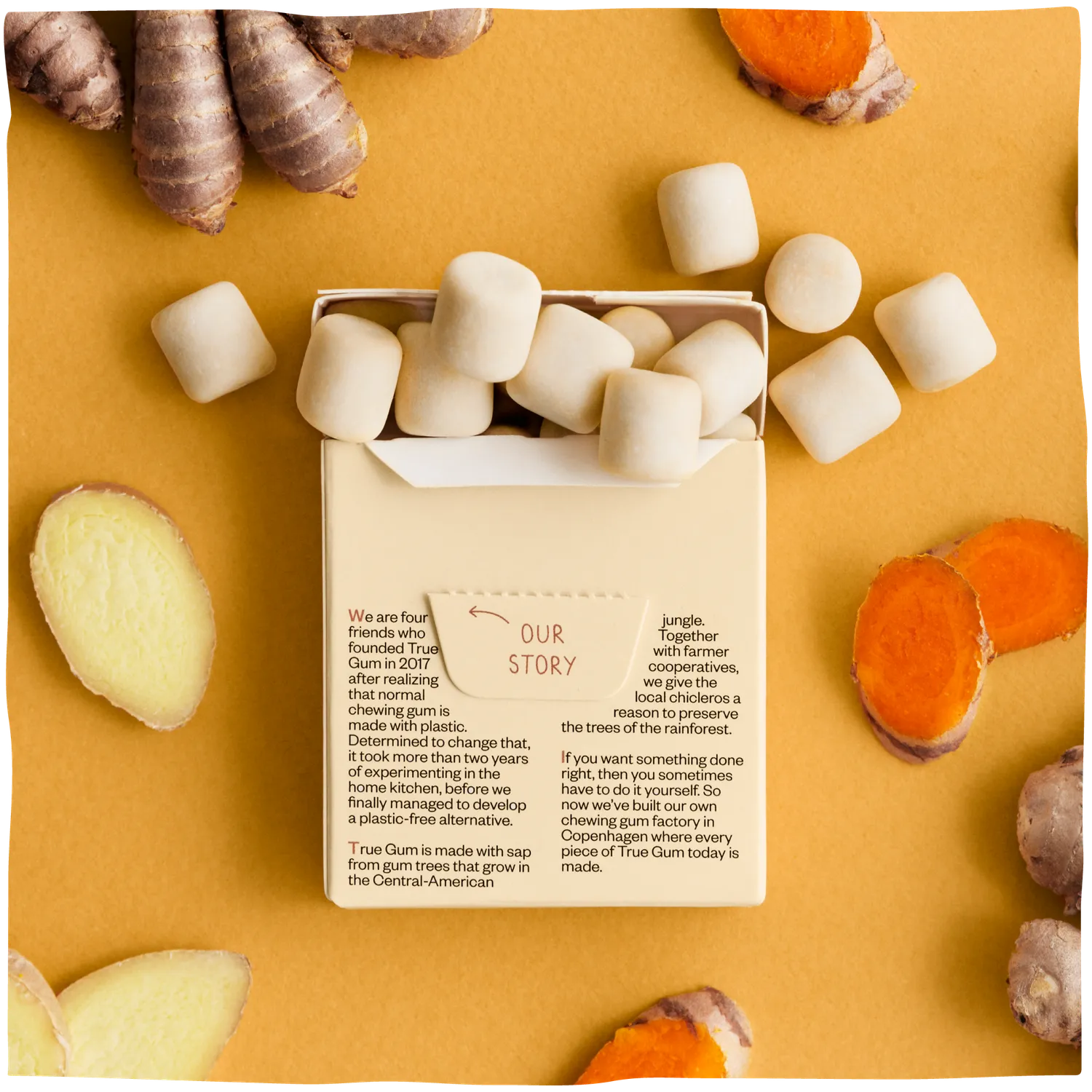 True Gum Ginger Turmeric tyggegummi 24 pak sukkerfri
