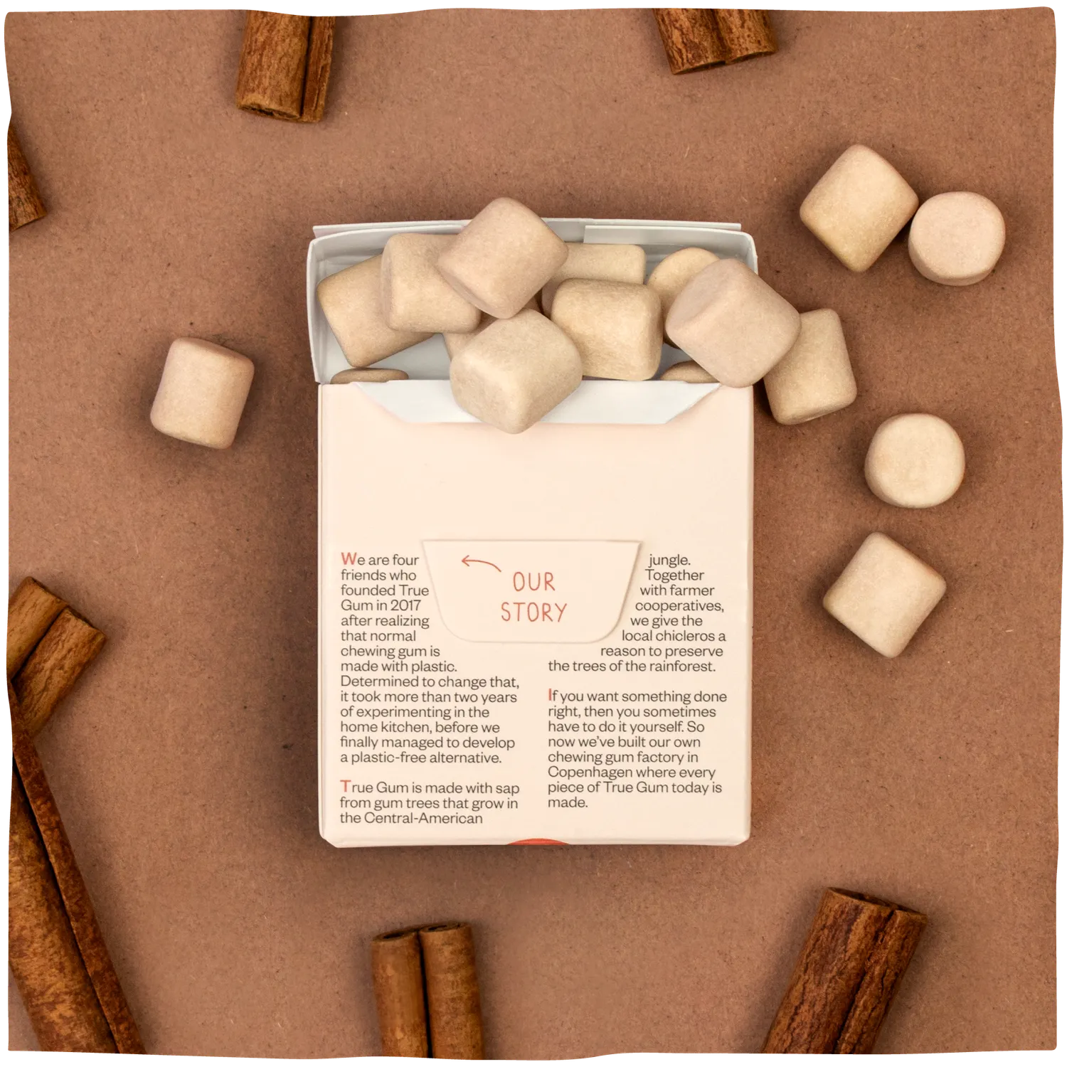 True Gum Cinnamon tyggegummi 24 pak sukkerfri