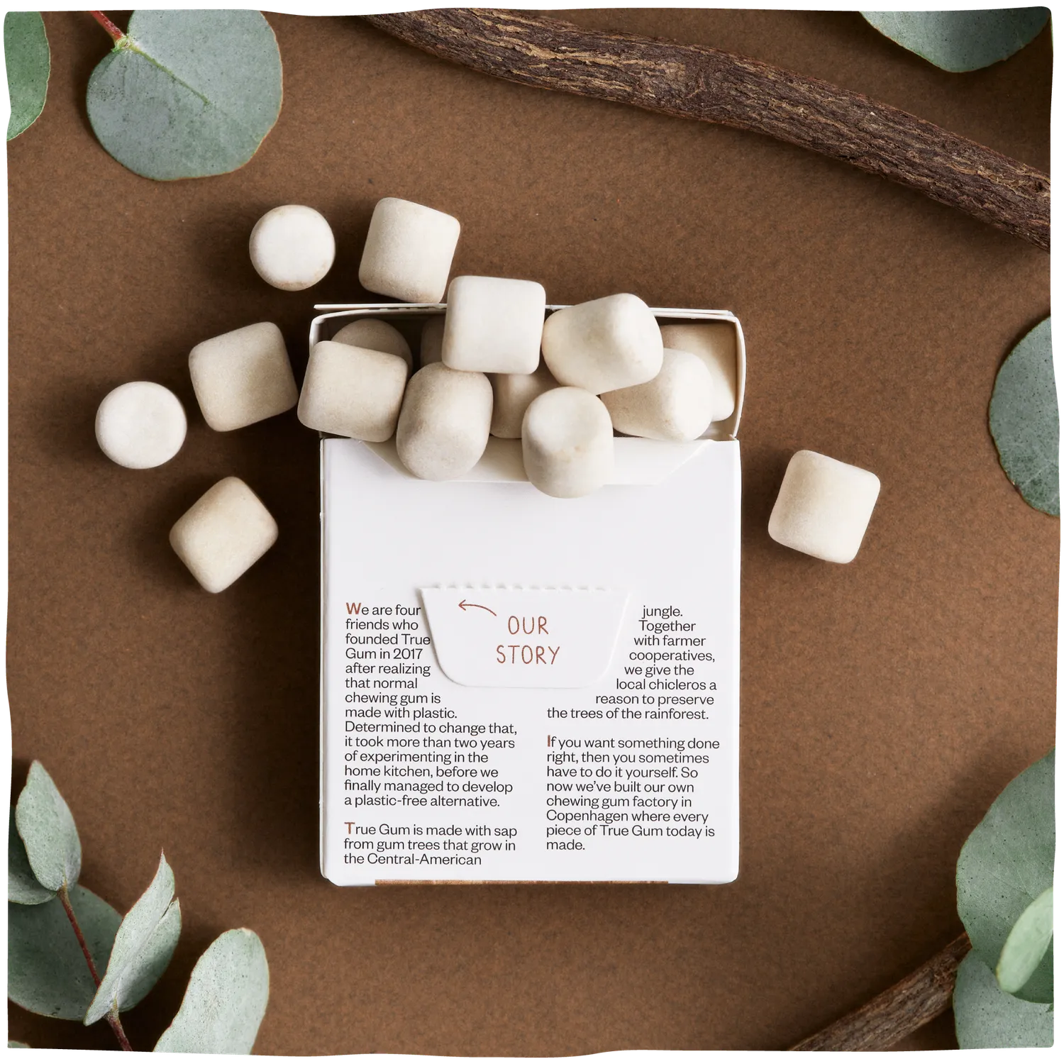 True Dates Liquorice & Eucalyptus tyggegummi 24-pak sukkerfri